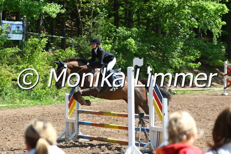 104M8149_SpringWB E.JPG